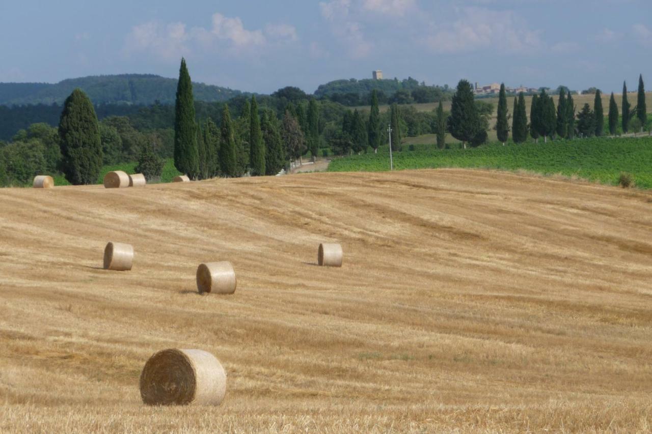 Poggio Ai Gelsi Ferienhaus