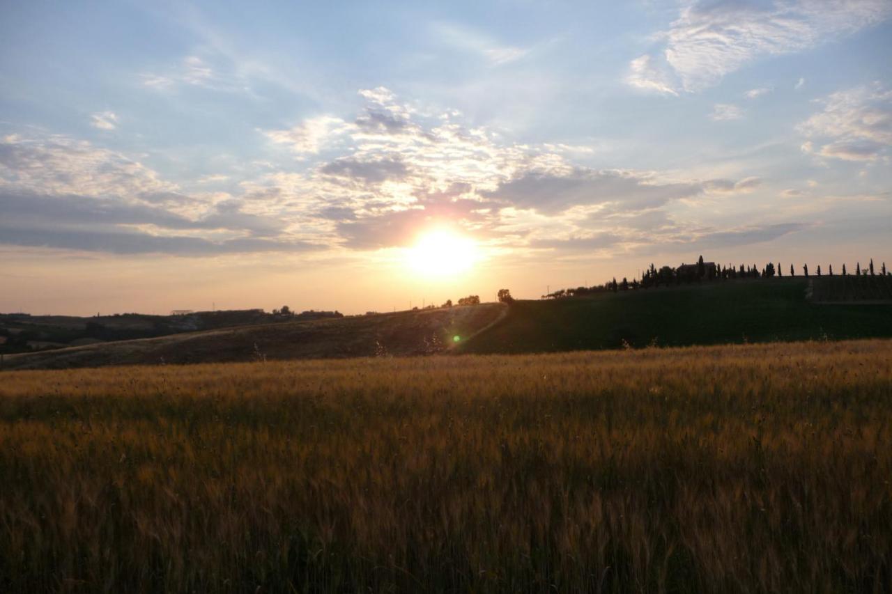 Poggio Ai Gelsi Ferienhaus *