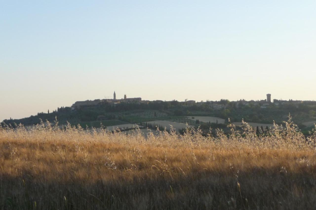 Poggio Ai Gelsi * Pienza